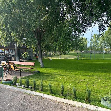 Gigios Sport&Relax Villa Bailesti Dış mekan fotoğraf