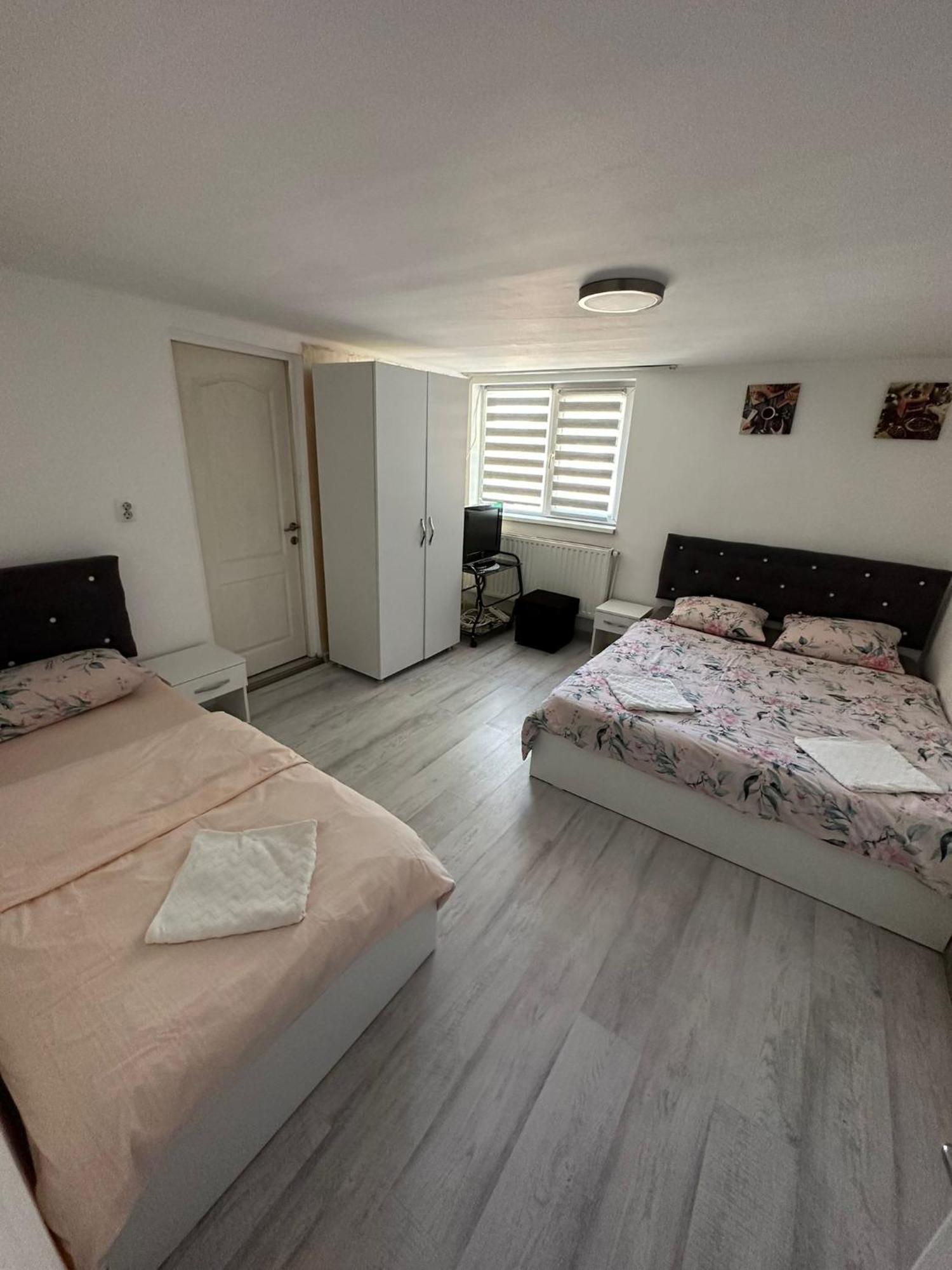 Gigios Sport&Relax Villa Bailesti Dış mekan fotoğraf
