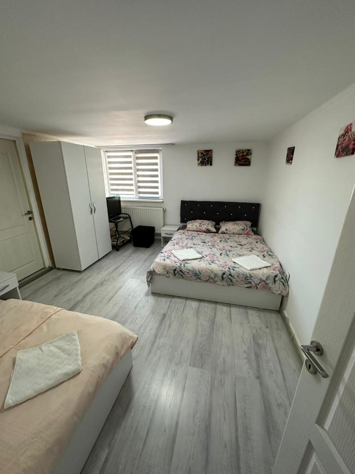 Gigios Sport&Relax Villa Bailesti Dış mekan fotoğraf