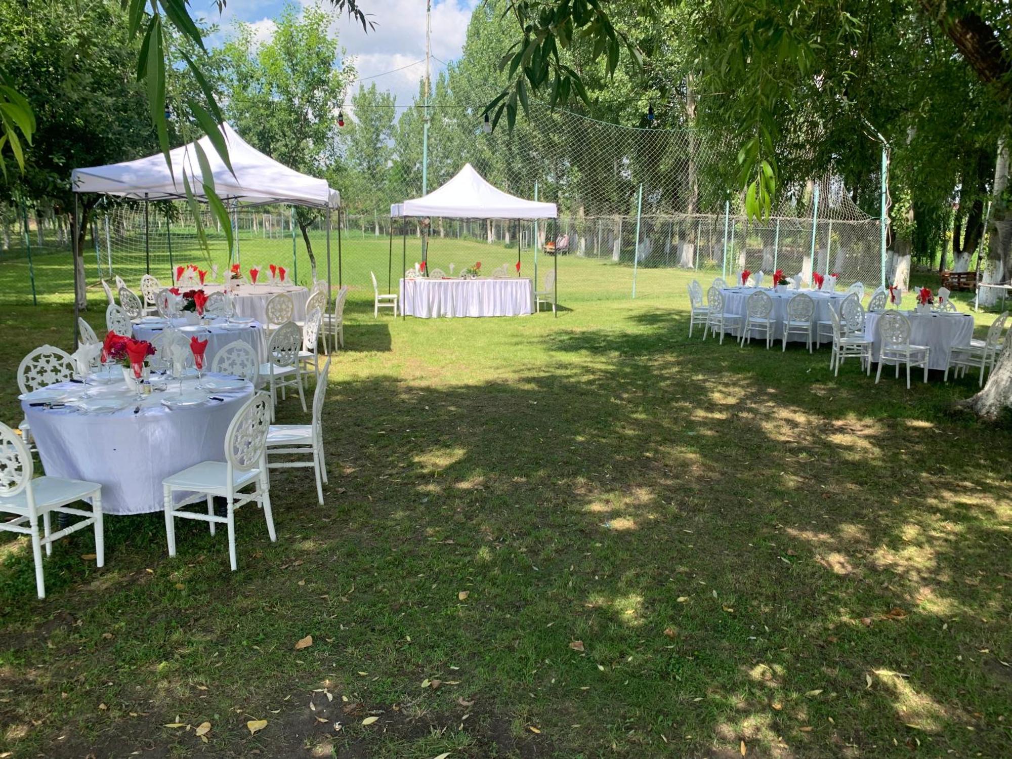 Gigios Sport&Relax Villa Bailesti Dış mekan fotoğraf