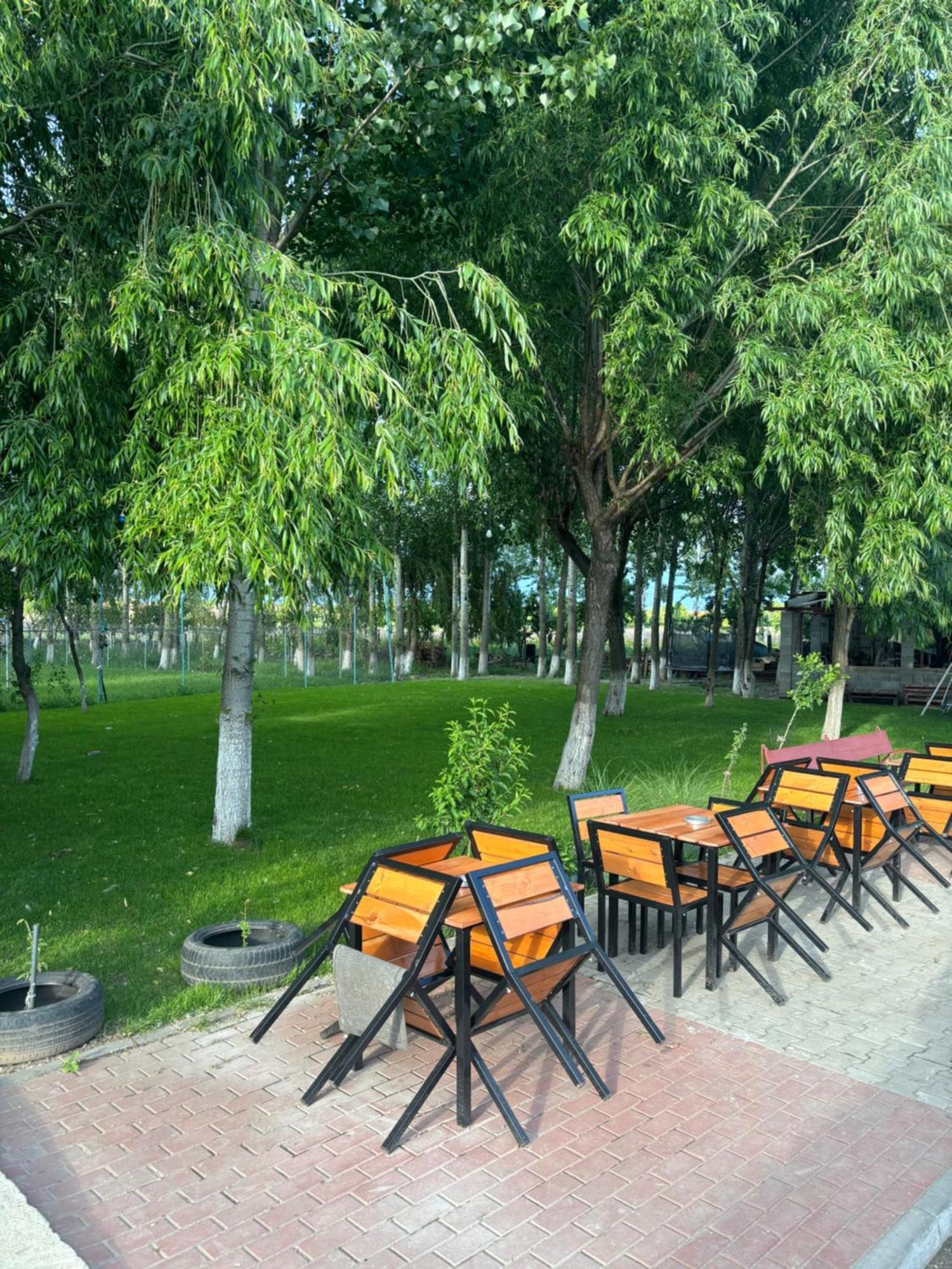 Gigios Sport&Relax Villa Bailesti Dış mekan fotoğraf